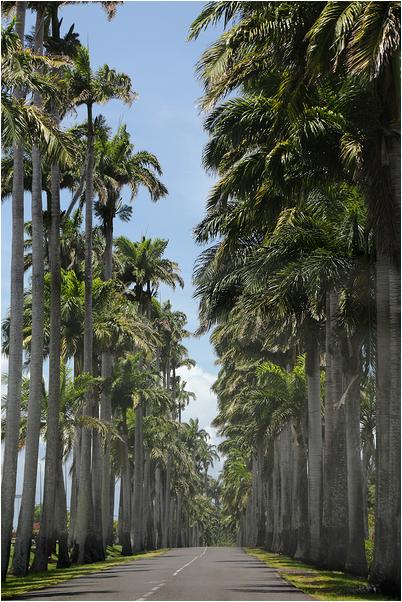 Guadeloupe-(23)