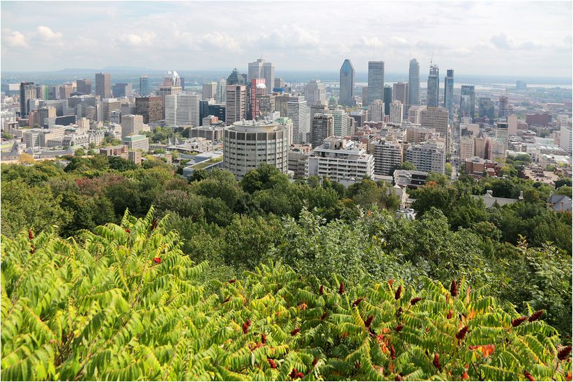 montreal1