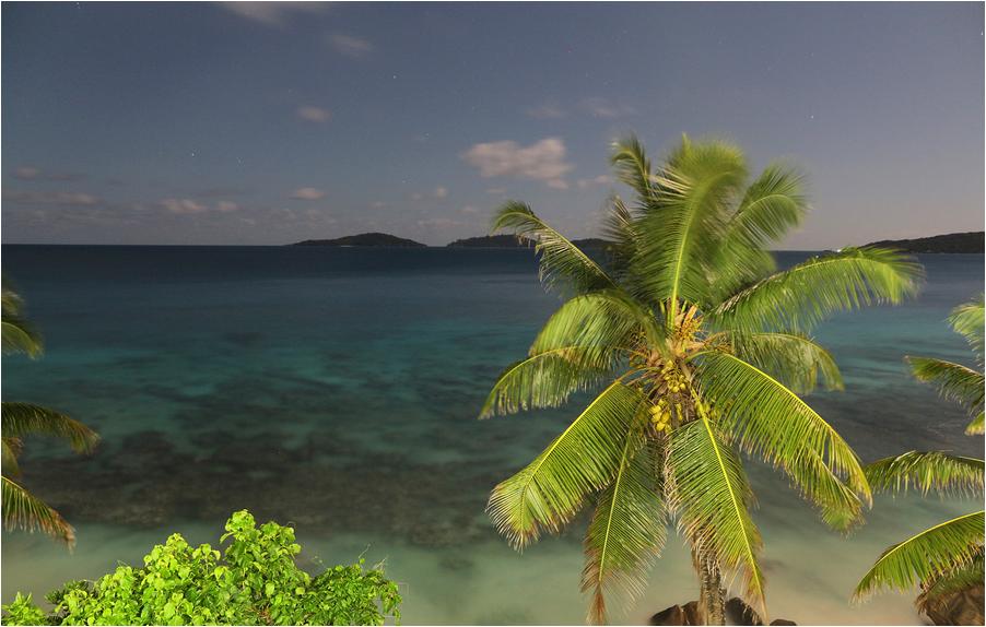 Seychelles (98)