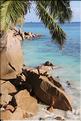 Seychelles (99)