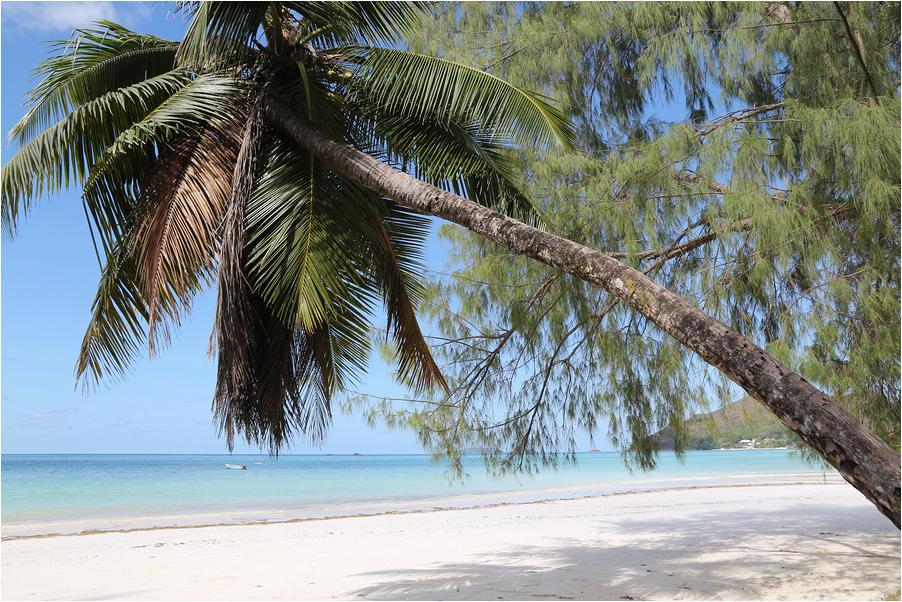 Seychelles (147)