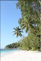 Seychelles (154)