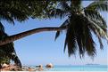 Seychelles (155)