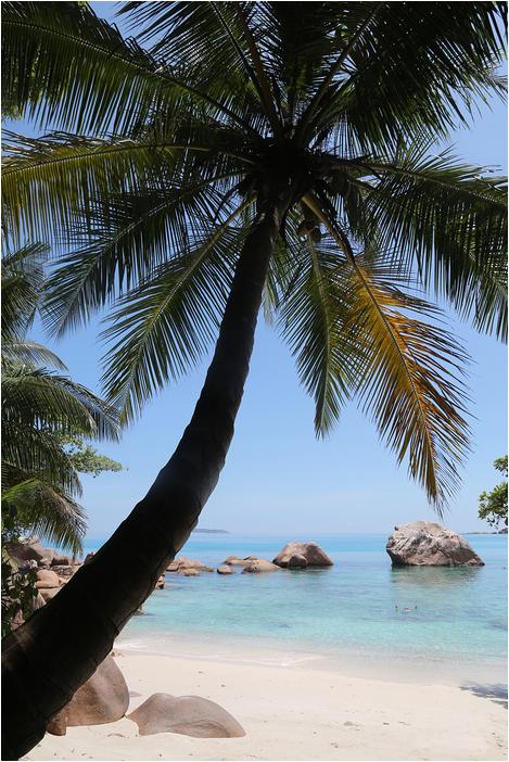 Seychelles (157)